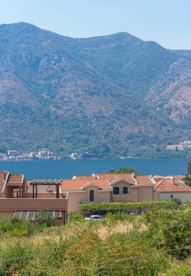Sunshine Apartman Kotor Kültér fotó